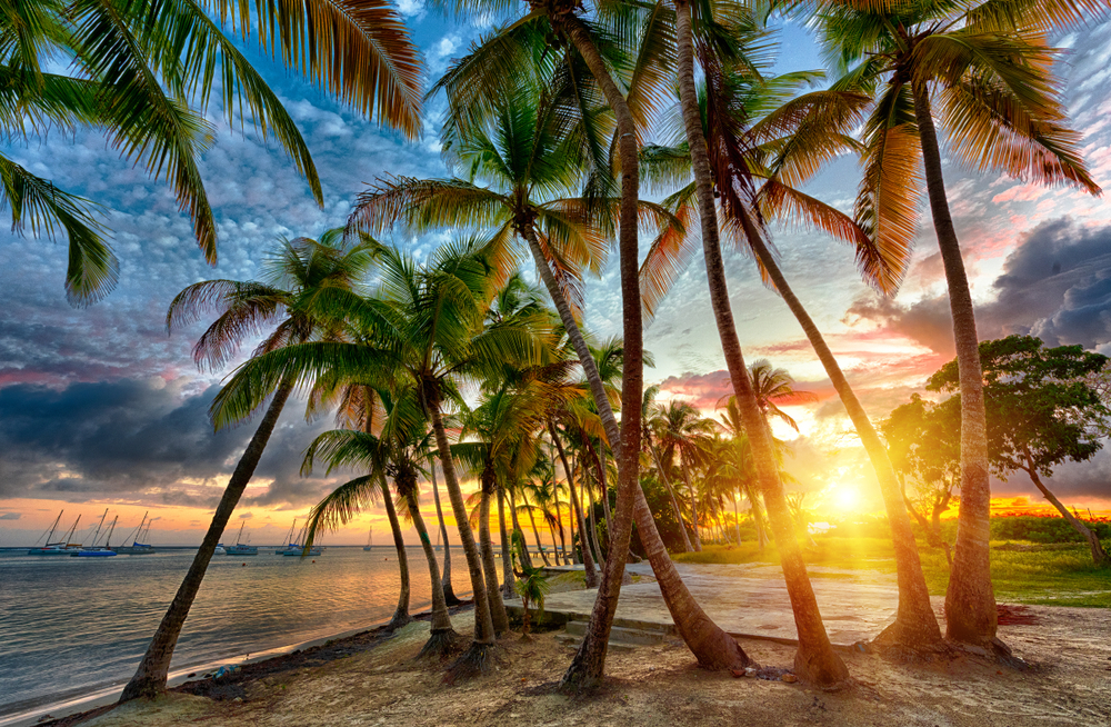 Résidence de tourisme à vendre en Guadeloupe