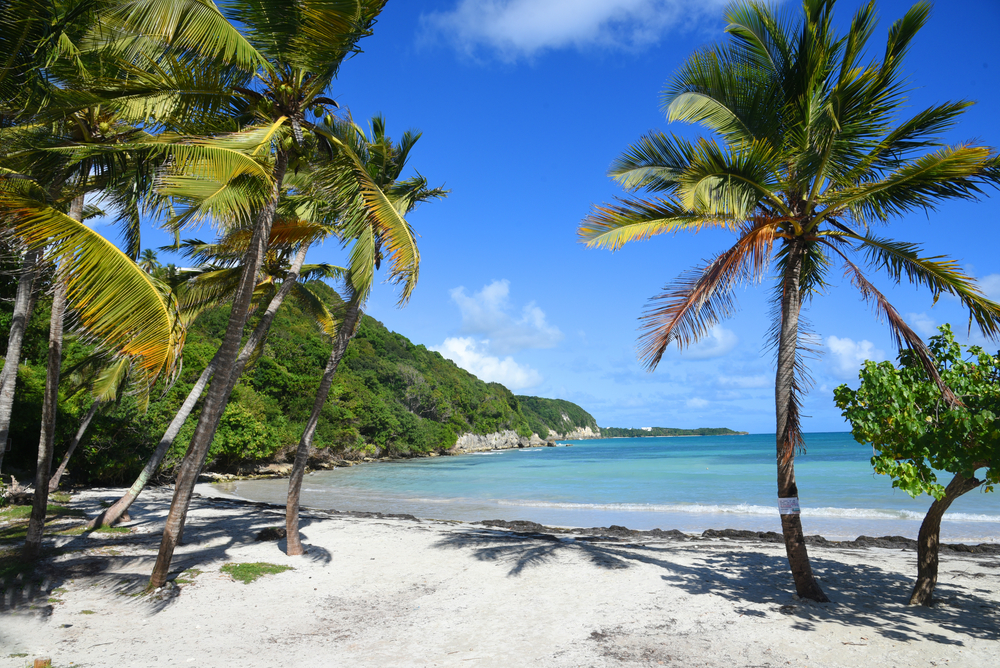 Annonces d'hôtels à acheter en guadeloupe