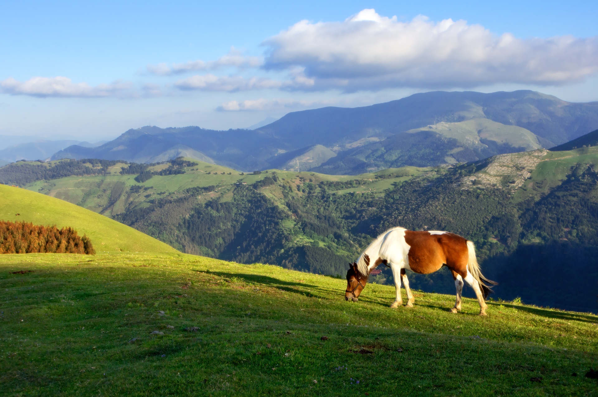 Vente camping Biarritz, Saint-Jean de Luz, Bidart, Pays-Basque