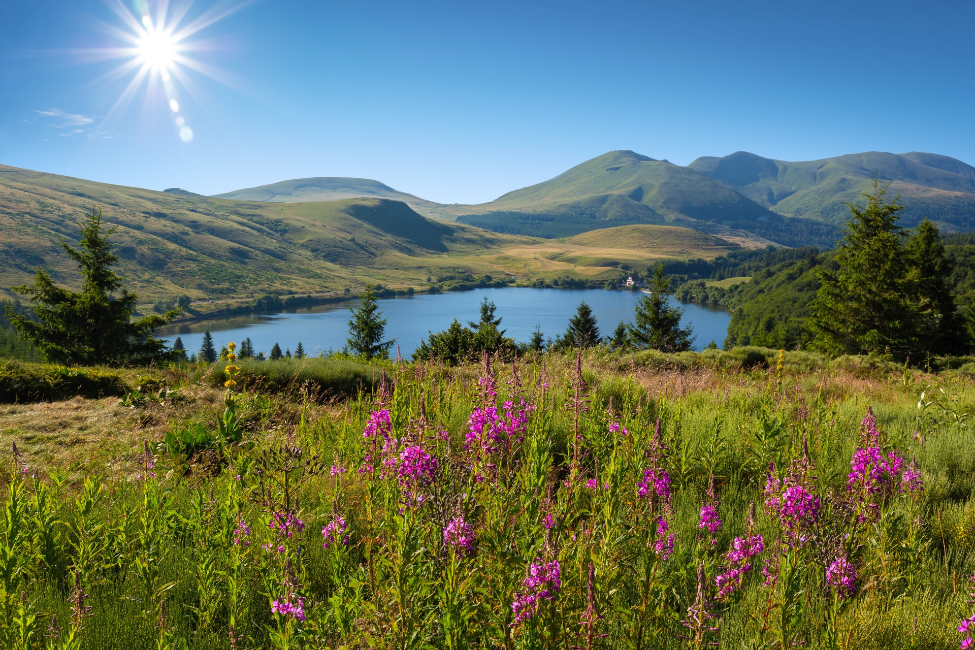 Vente camping Puy de Dôme, Cantal, Allier, Loire