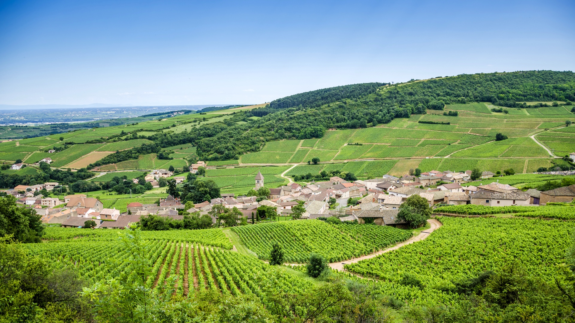 Acheter un terrain de camping en Bourgogne