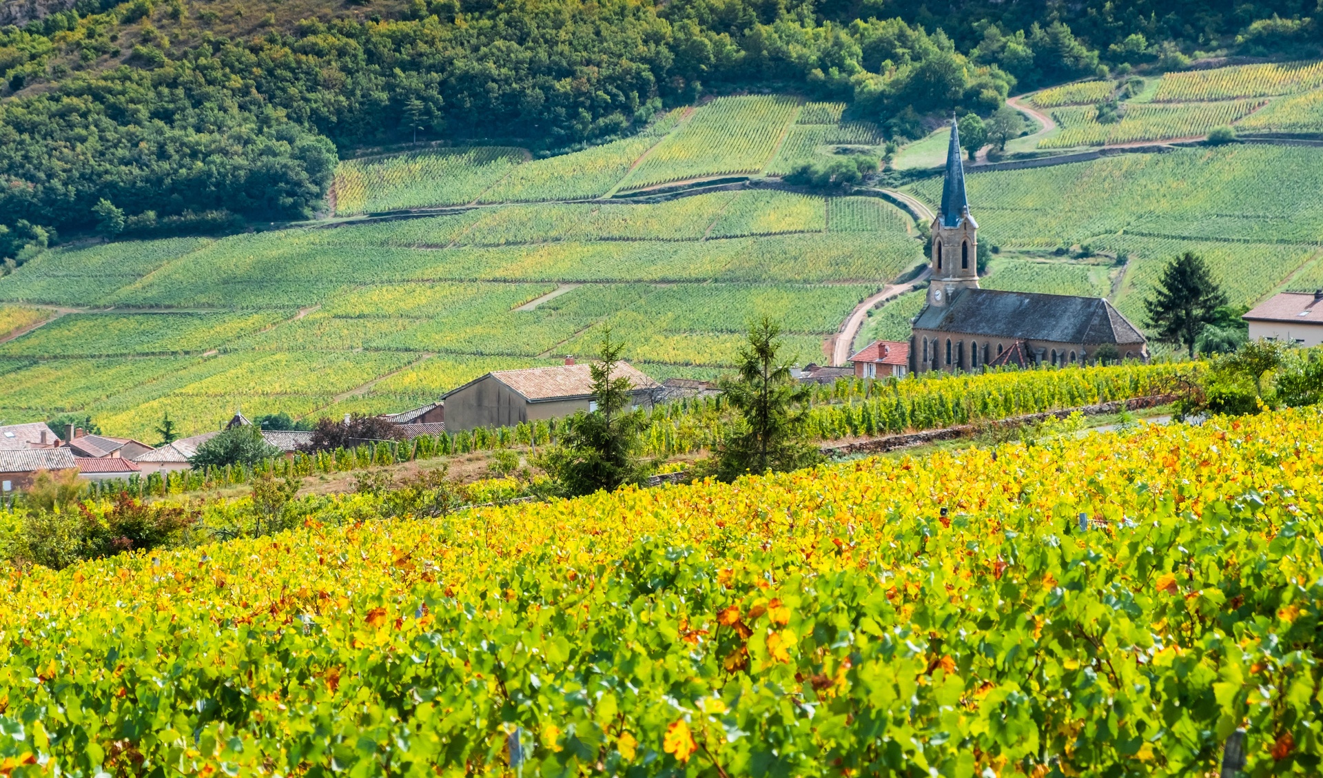 Vente d'hôtels en Bourgogne-Franche-Comté, consultez nos annonces