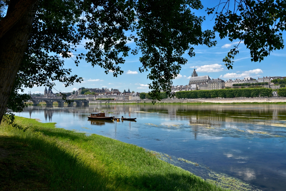 À vendre, Hôtel-Bureau ou Hôtel-Restaurant sur toute la France