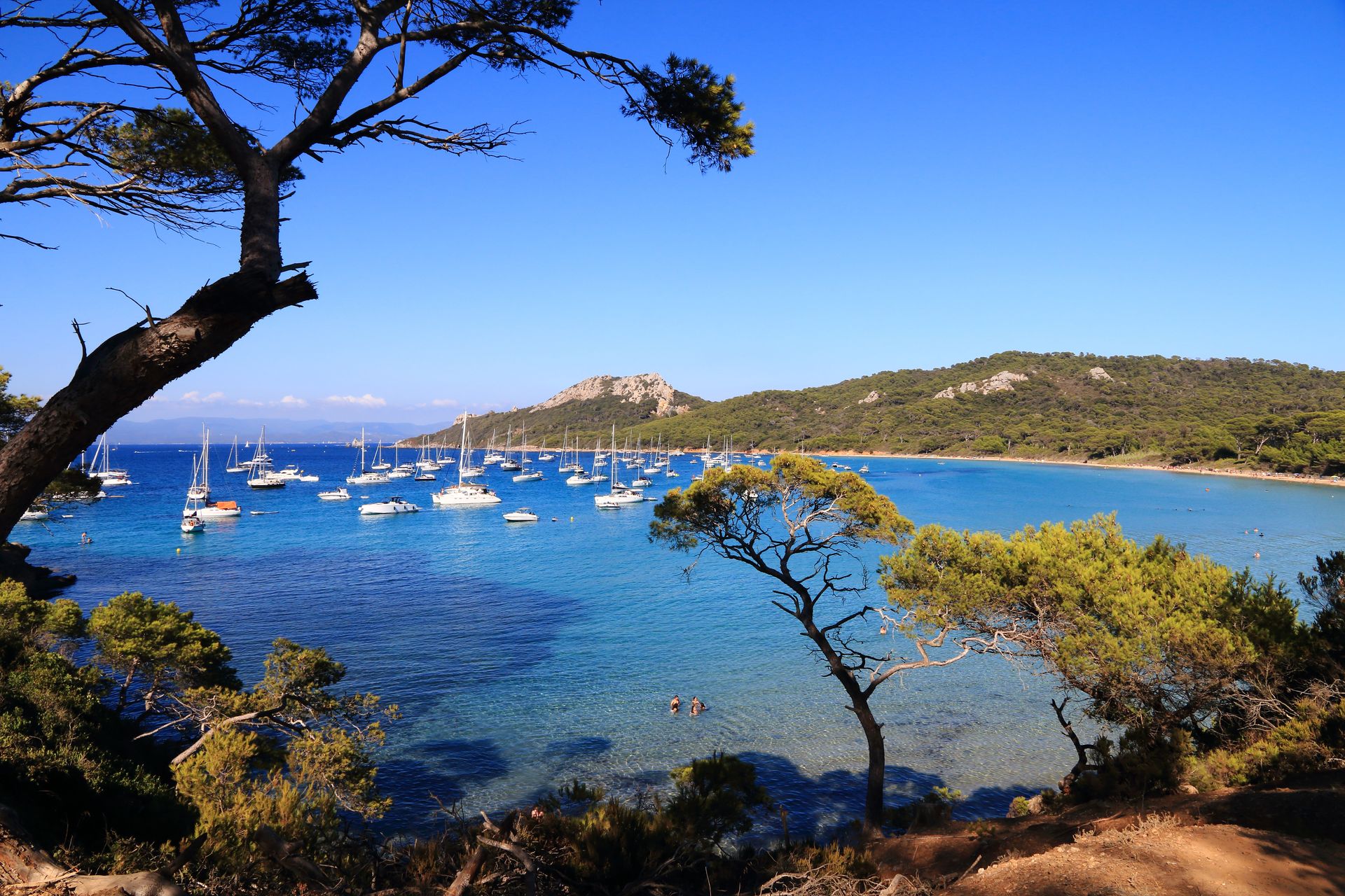 Provence Alpes Côte d'Azur: Climat méditerranéen, entre mer, montagnes et campagne provençale, attrait international