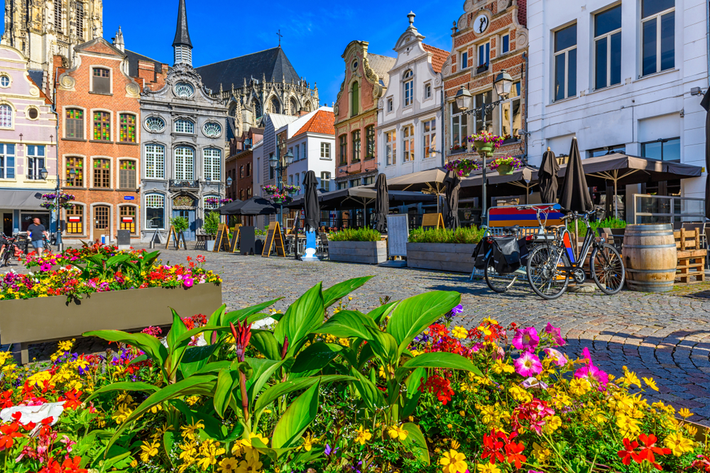 BELGIQUE: Campground for sale in Belgium